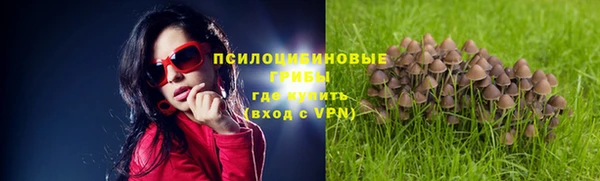 мдпв Шадринск