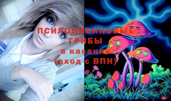 гидропоника Шали