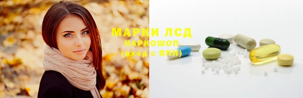 мдпв Шадринск