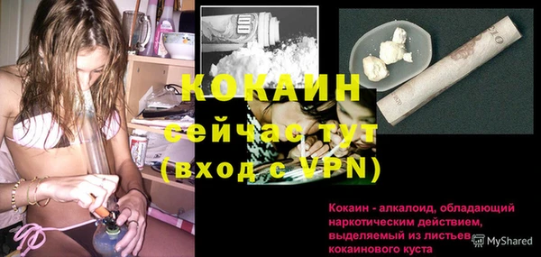 гидропоника Шали
