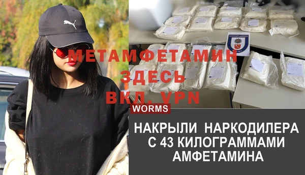 трава Шарыпово