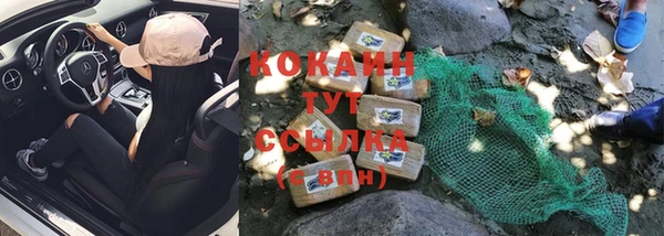 гидропоника Шали