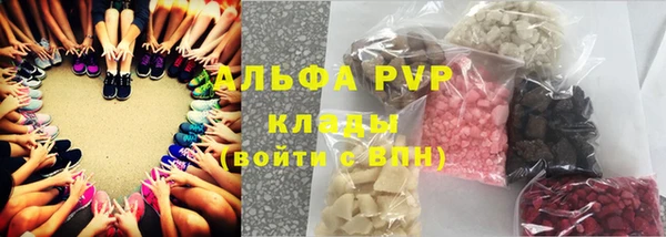 трава Шарыпово
